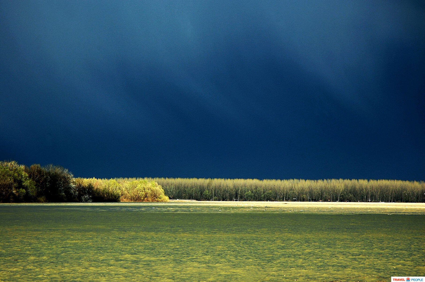 Confluence of the Sava and the Danube rivers