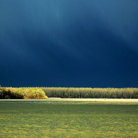 Confluence of the Sava and the Danube rivers